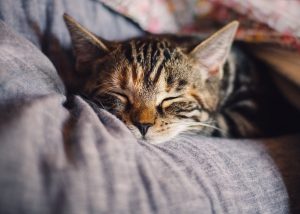 How to get good sleep - Website - Richard Tubb