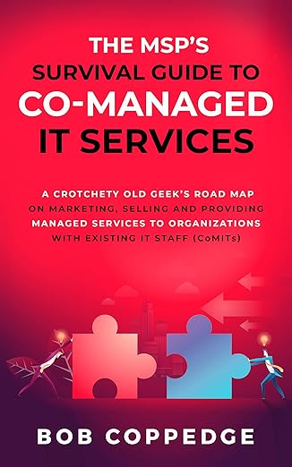 The MSP’S Survival Guide To Co-Managed IT Services image